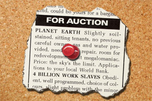For Auction: Planet Earth
