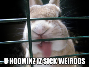 This graphic is a LOLBUNNY if you don't get it - a bit like a LOLCAT