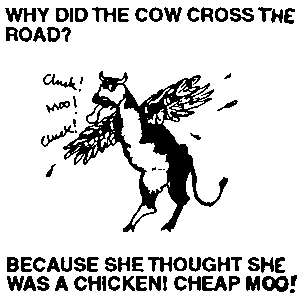 Why did the cow cross the road?