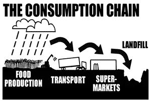 The Consumption Chain