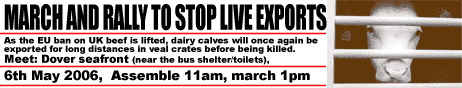 March and Rally to Stop Live Animal Exports