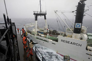 The Sea Sheperd ship the MV Steve Irwin