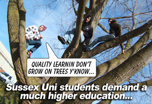 Sussex Uni students demand a much higher education....